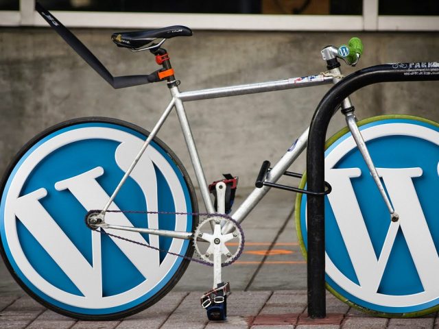 How to add ads.txt file to your WordPress website