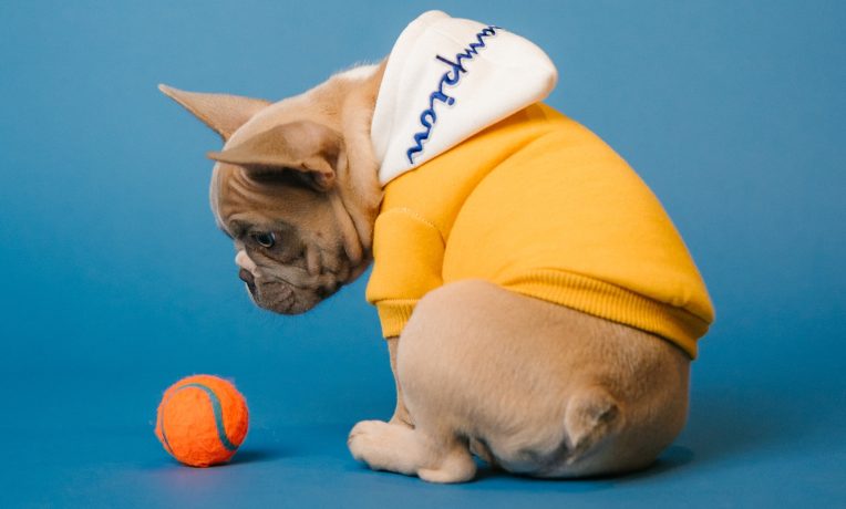 Bounce rate vs exit rate
